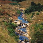 Nkwali views river
